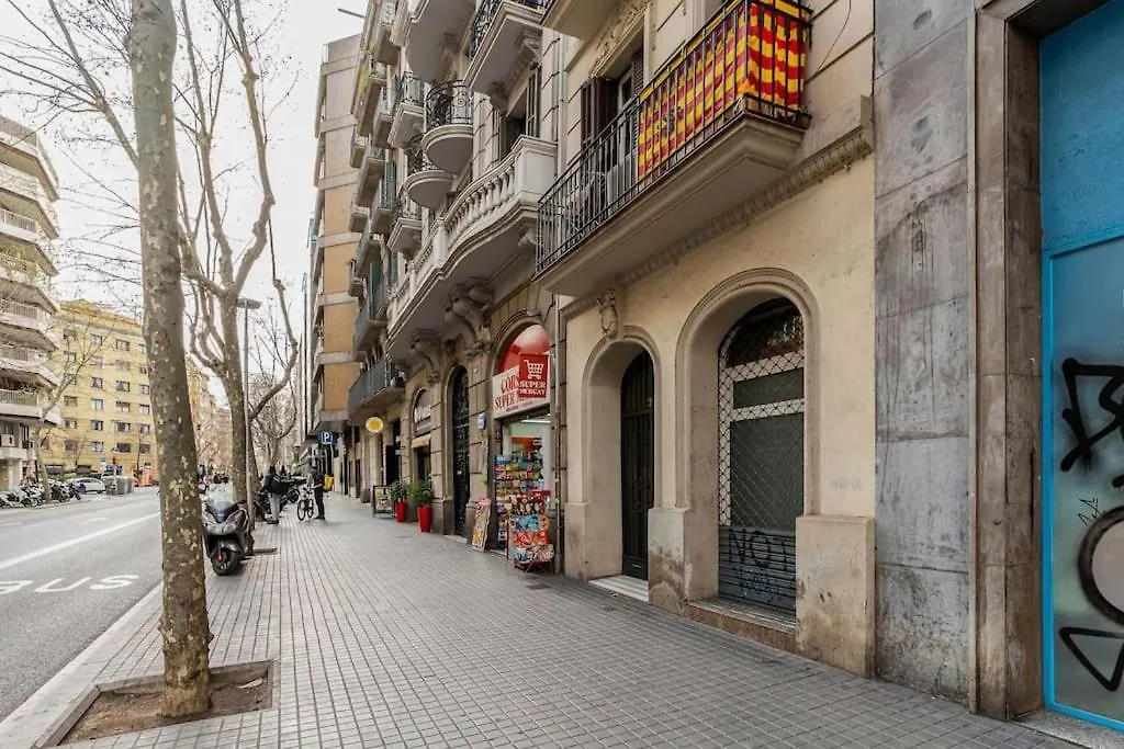 Canela Homes Barcelona Corsega